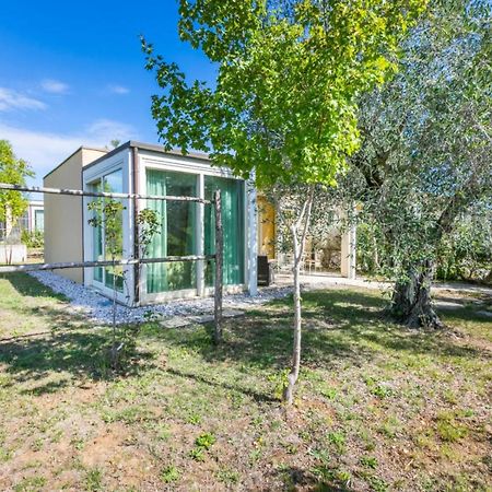 Toscana Biovillage - Private Cottage Cecina  Kültér fotó